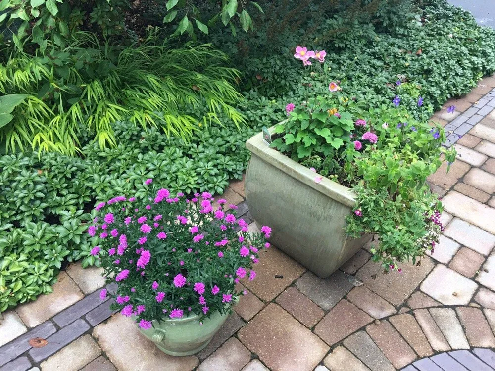 Top-rated landscaping services experts serving Rockford, IL - Tyler's Landscaping