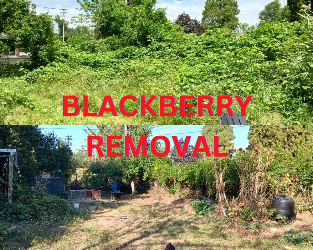 Trusted landscape design experts serving Eugene, OR - Tyler's Lawn and Garden Care