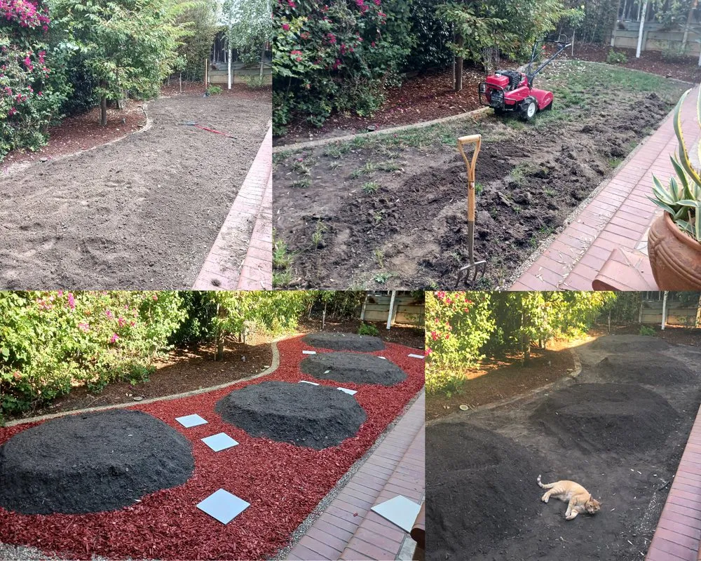 Professional yard maintenance in Eugene, OR by Tyler's Lawn and Garden Care