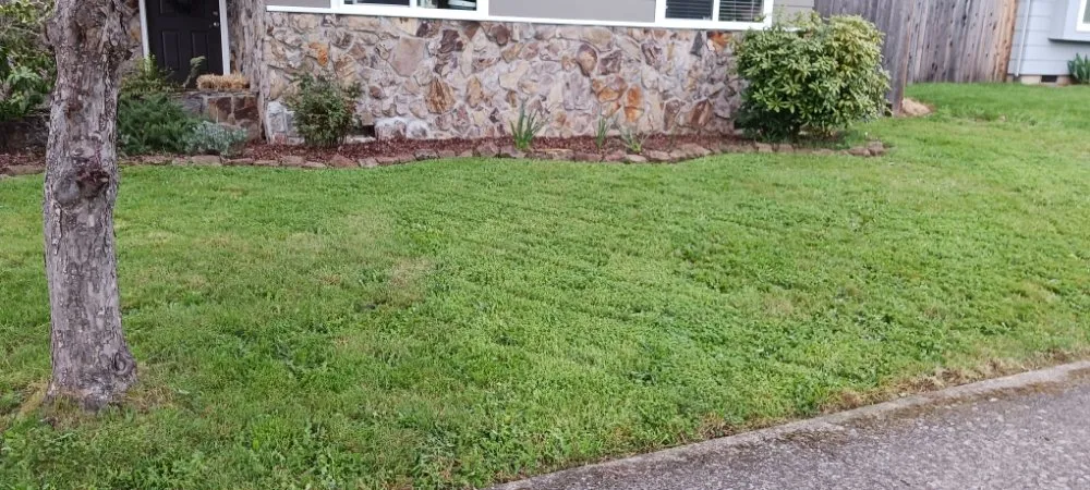 Top-rated yard maintenance experts serving Eugene, OR - Tyler's Lawn and Garden Care