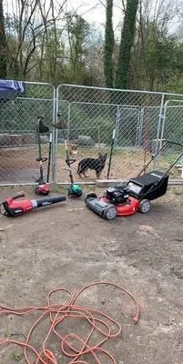 Tyler’s lawn care Logo