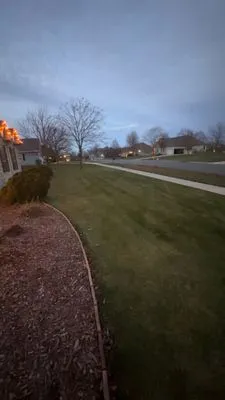 Tylers Lawn Care Logo