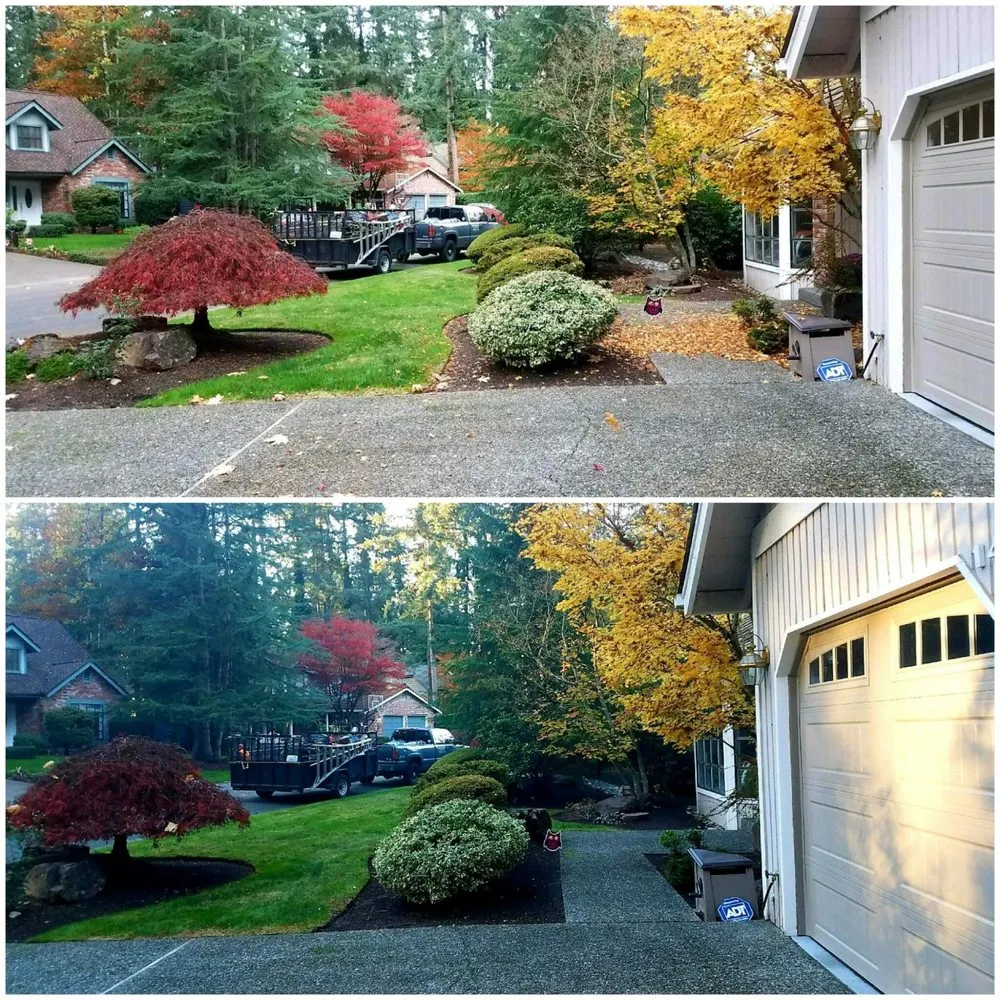 Reliable residential landscaping for homes across Marysville, WA - Tyler's Lawn Salon