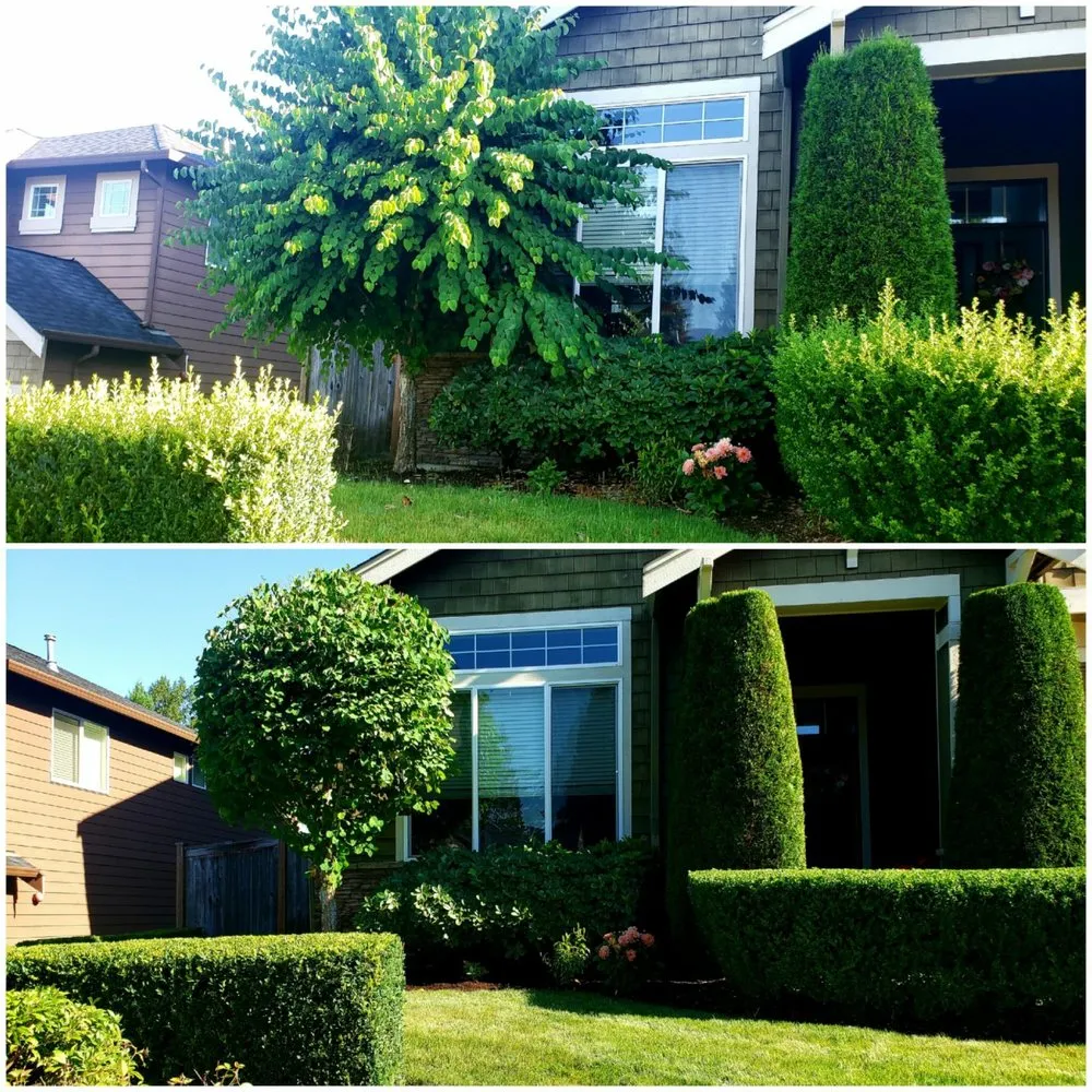Top-rated garden landscaping with custom design across Marysville, WA - Tyler's Lawn Salon