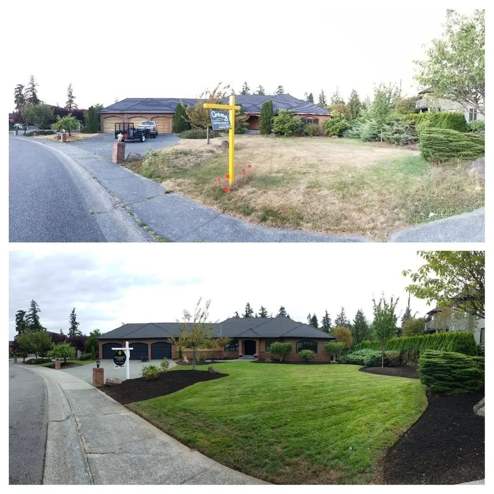 Affordable lawn care service in Marysville, WA by Tyler's Lawn Salon