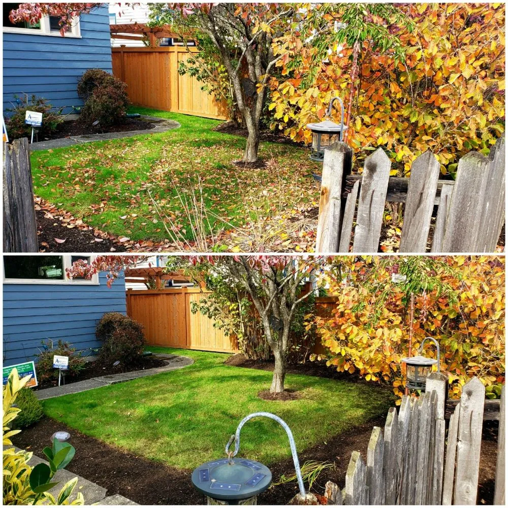 Trusted landscape design near you in Marysville, WA by Tyler's Lawn Salon