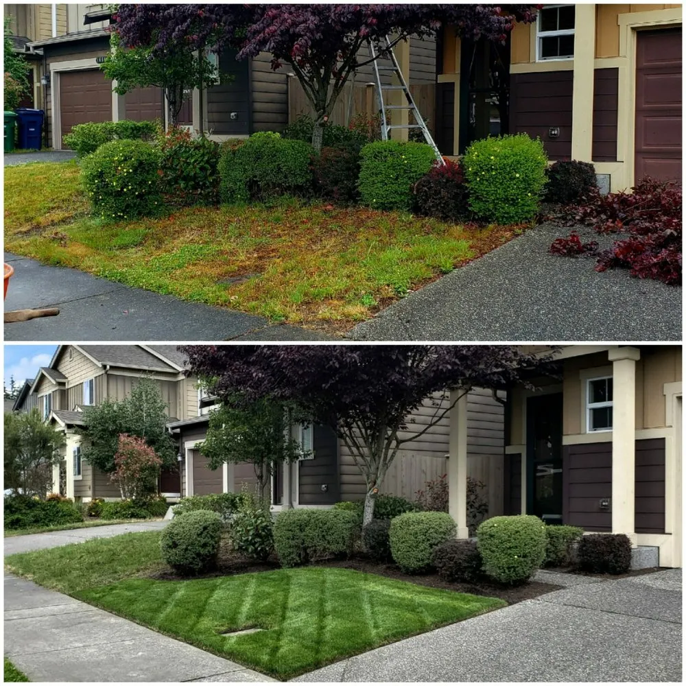 Trusted outdoor landscaping in Marysville, WA by Tyler's Lawn Salon