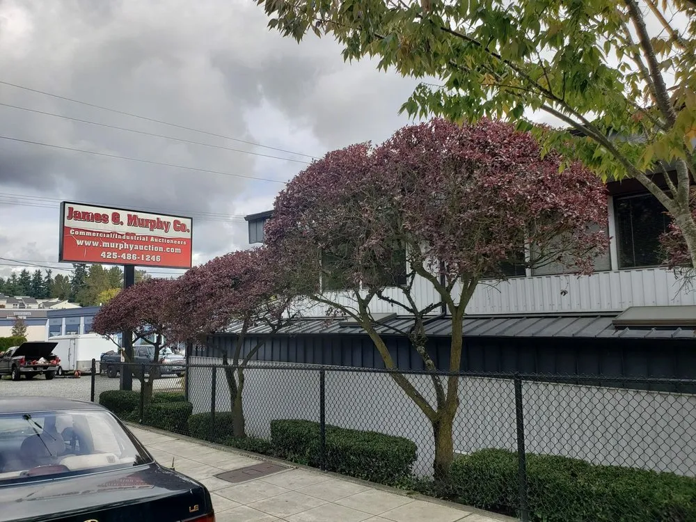 Affordable yard cleanup service for residential properties in Marysville, WA by Tyler's Lawn Salon