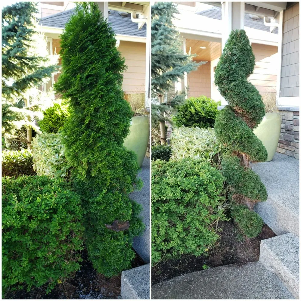 Affordable outdoor landscaping in Marysville, WA by Tyler's Lawn Salon