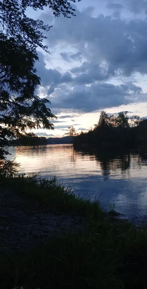 Custom landscaping services for homes in New Tazewell, TN by Tyler's mark