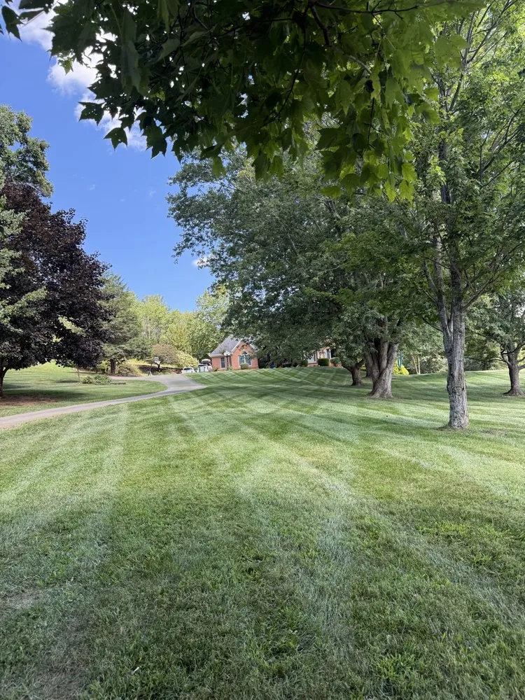 Professional landscape installation in Abingdon, VA - Tyler’s Outdoor Services