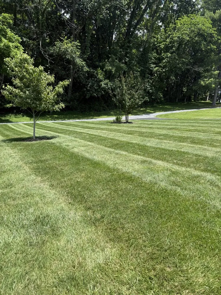 Local outdoor landscaping experts serving Abingdon, VA - Tyler’s Outdoor Services
