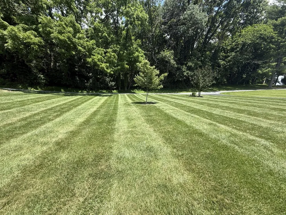 Expert lawn care service near you in Abingdon, VA by Tyler’s Outdoor Services