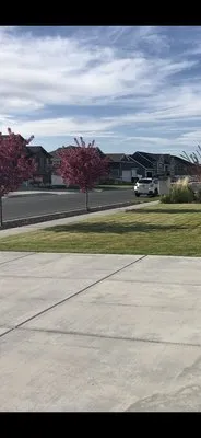 Tyler's Pro Lawn Care