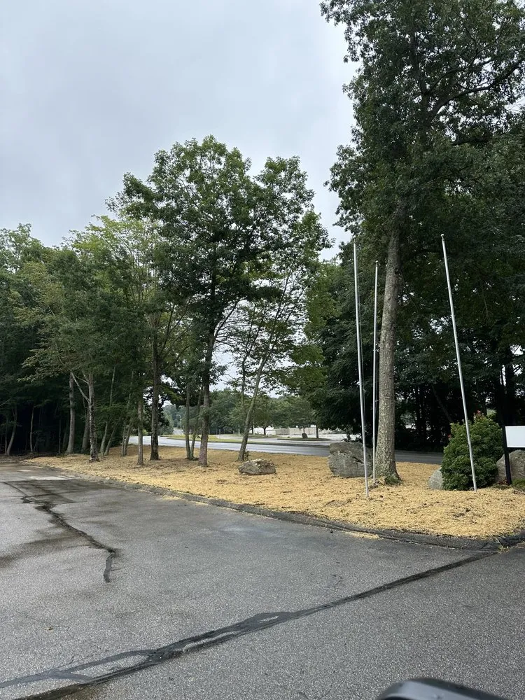 Local landscaping services in North Franklin, CT - Tylers Property Maintenance