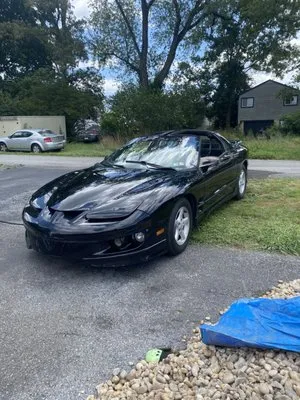 Tyler's Services Logo