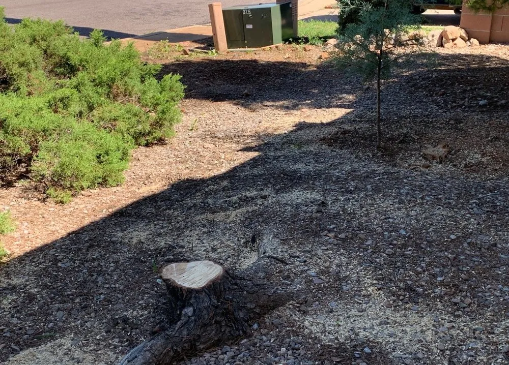 Custom garden landscaping in Sierra Vista, AZ by Tyler's Yard, Tree, & Landscaping Services