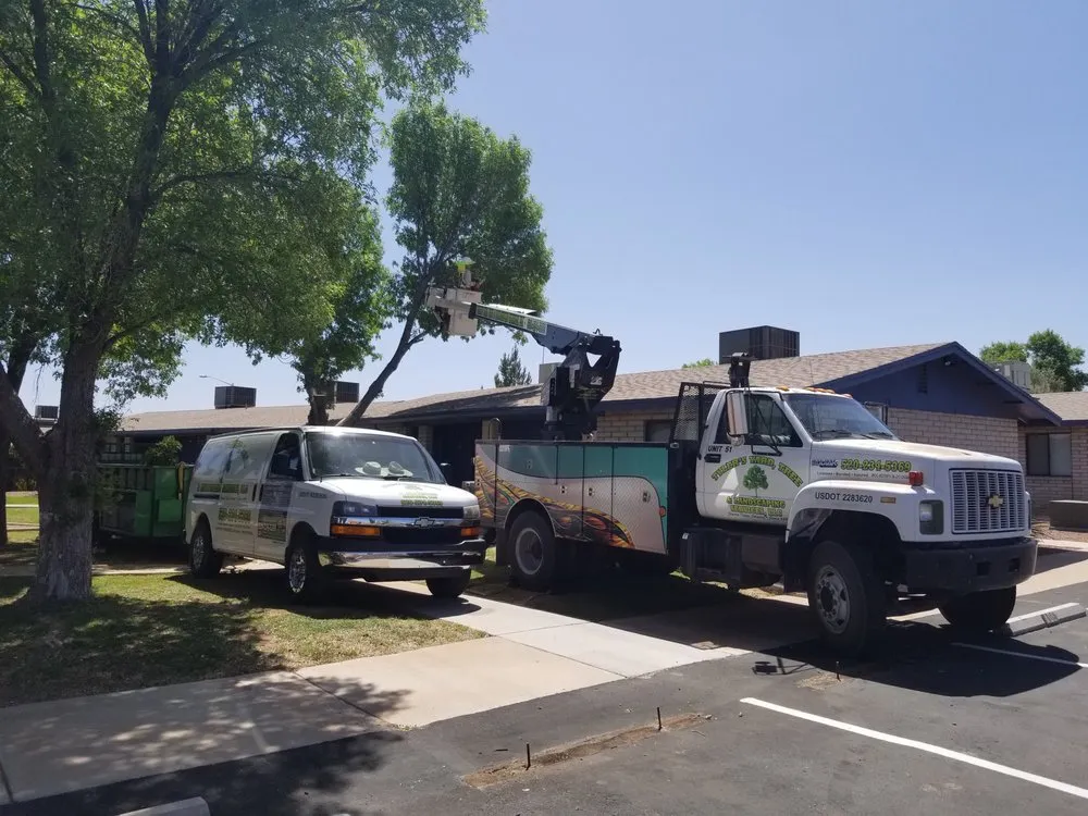 Custom lawn mowing service for outdoor upgrades in Sierra Vista, AZ by Tyler's Yard, Tree, & Landscaping Services