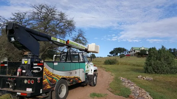 Tyler's Yard, Tree, & Landscaping Services