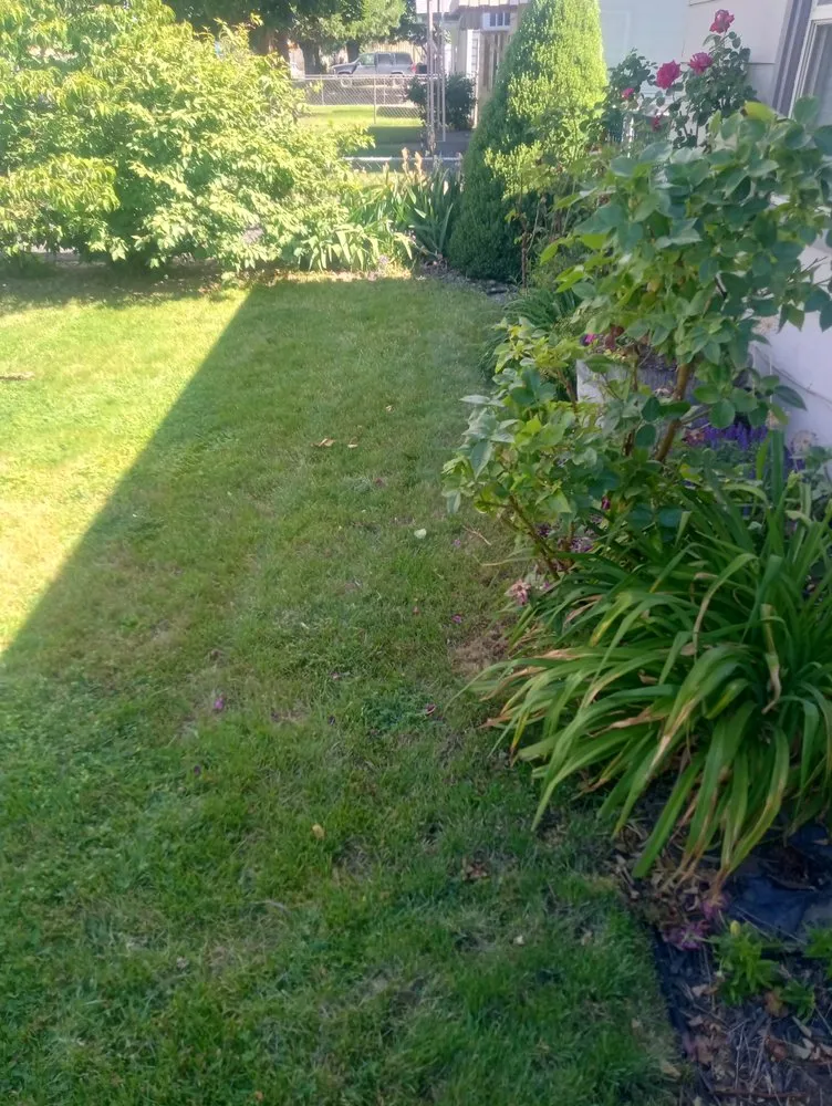 Reliable yard cleanup service in Yakima, WA - Tylor Croy's Lawns