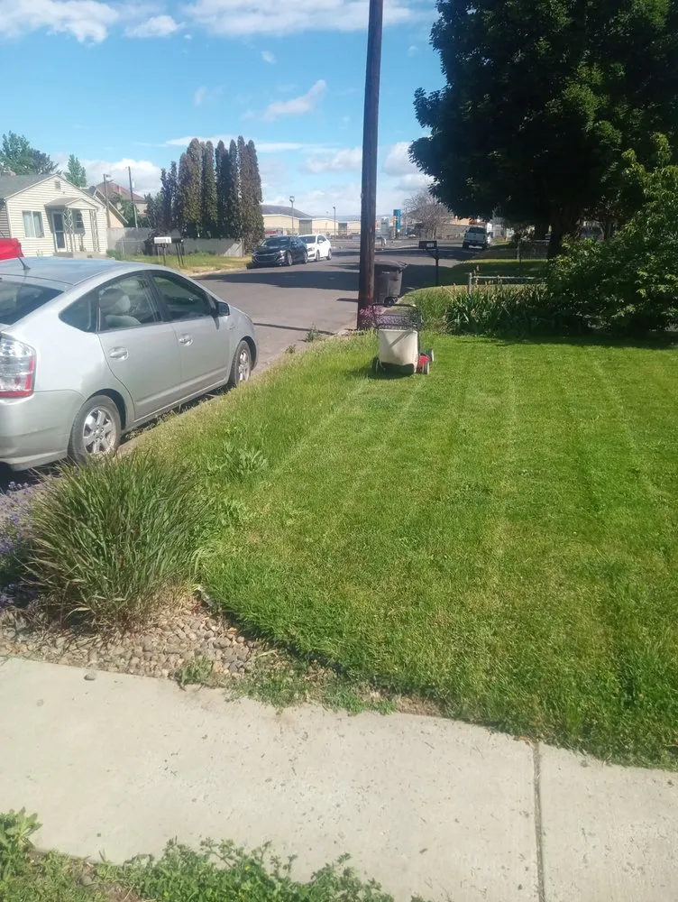 Expert lawn care service experts serving Yakima, WA - Tylor Croy's Lawns