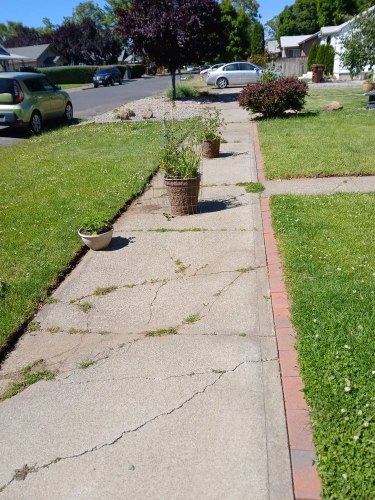 Expert residential landscaping experts serving Yakima, WA - Tylor Croy's Lawns