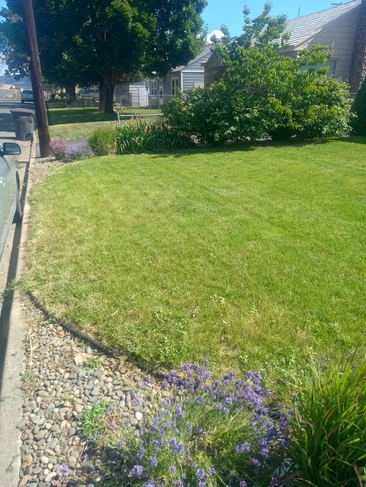 Professional lawn mowing service experts serving Yakima, WA - Tylor Croy's Lawns