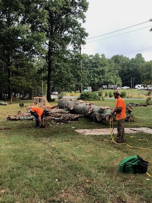 Reliable garden landscaping experts serving Snow Camp, NC - Tyndall Lawn and Tree
