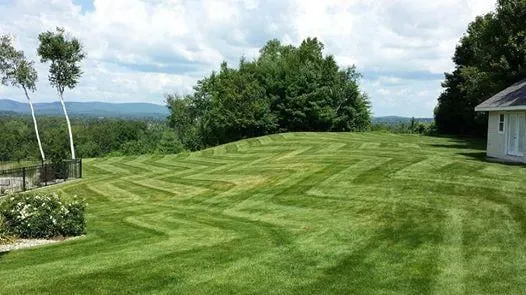 Professional yard cleanup service in Southwick, MA - Tynic Landscaping