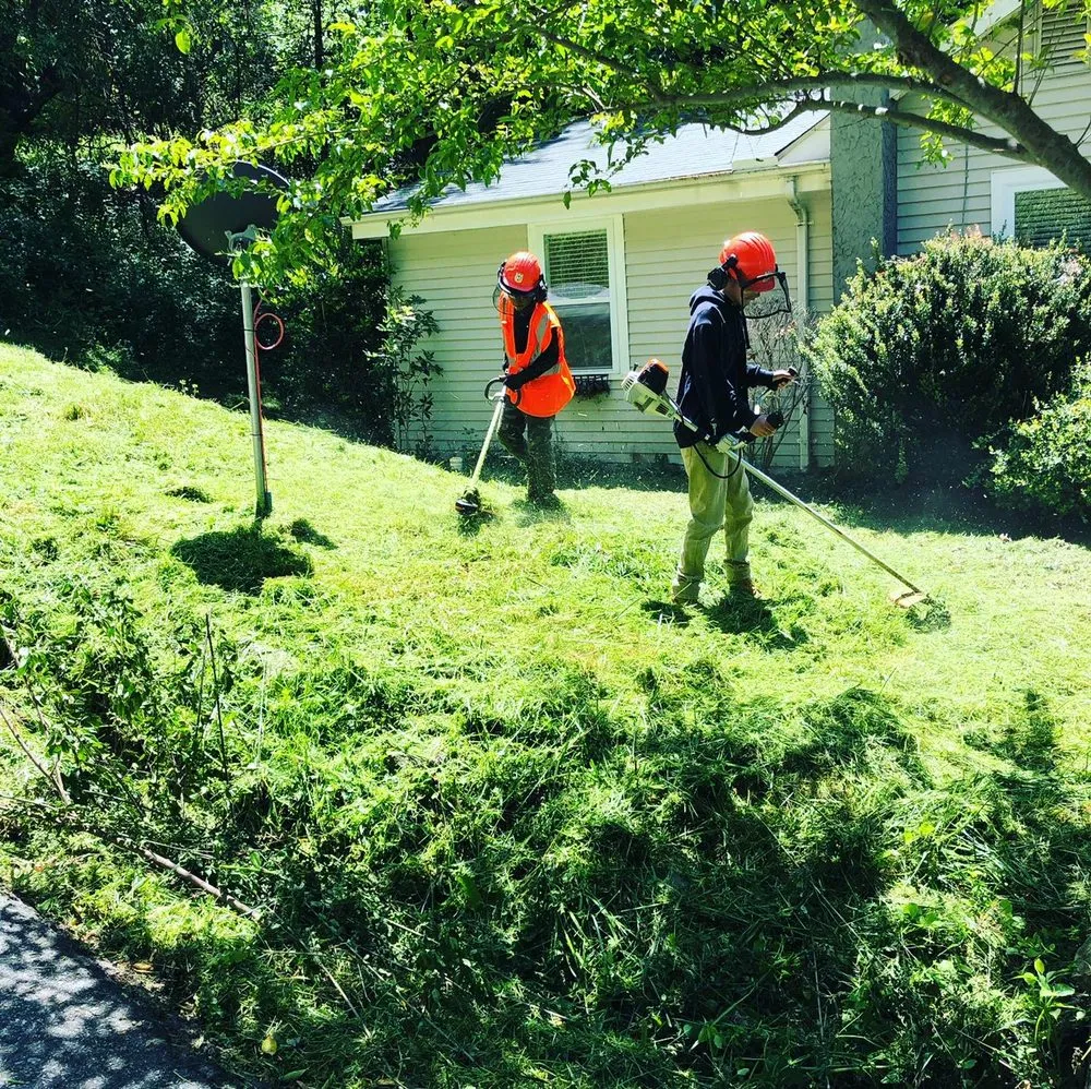 Professional landscape installation for residential properties across Weaverville, NC - Type 1 landscaping service