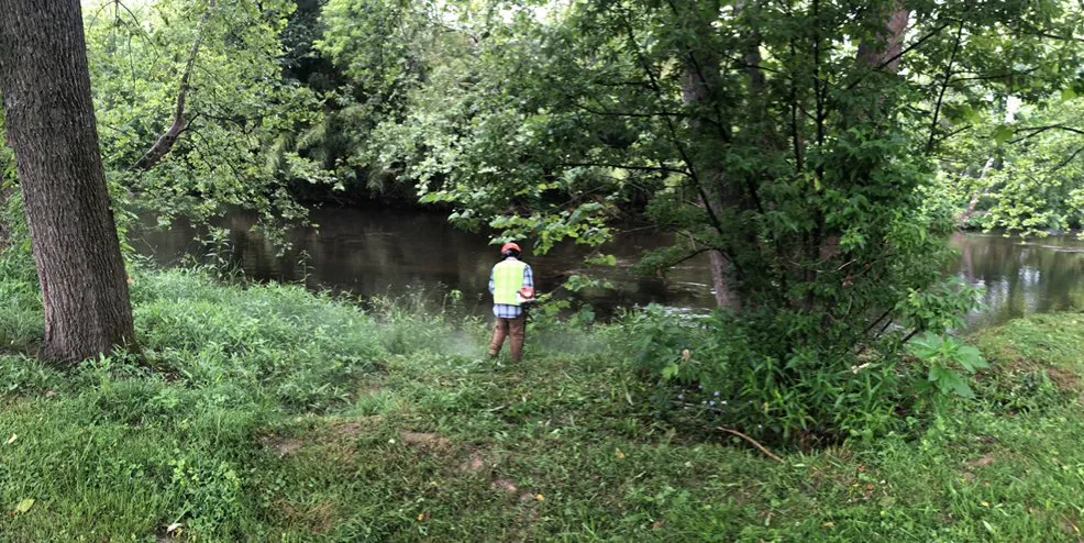 Local outdoor landscaping for year-round maintenance across Weaverville, NC - Type 1 landscaping service