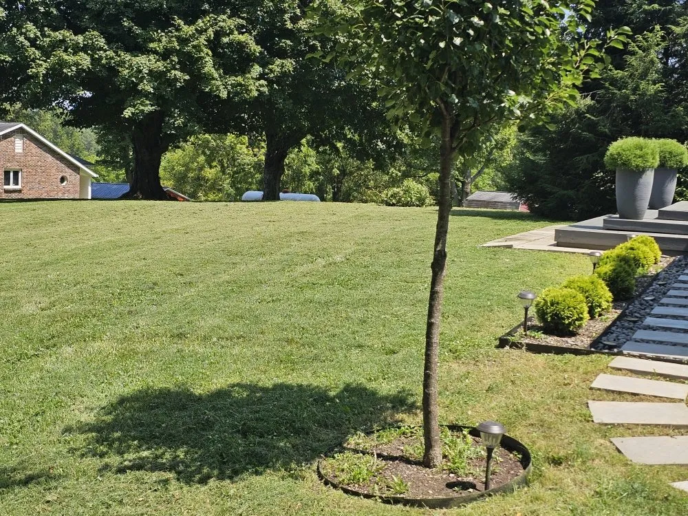 Local yard maintenance in Bloomington, IN by Type-A Lawncare