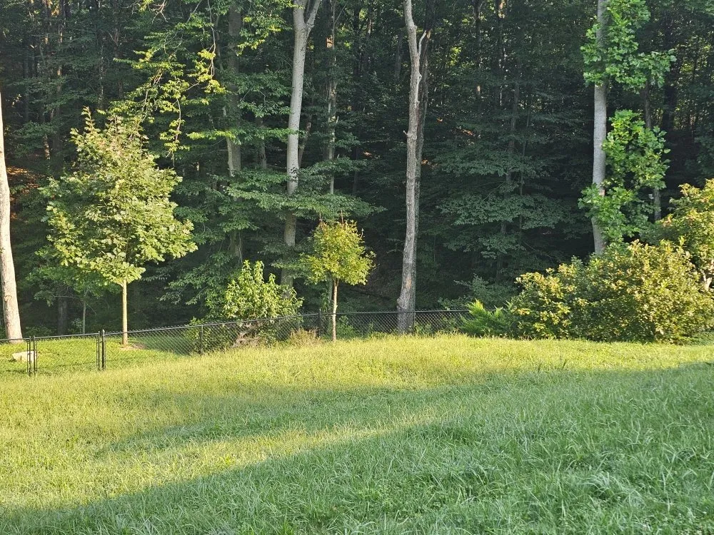 Reliable yard maintenance for outdoor upgrades across Bloomington, IN - Type-A Lawncare