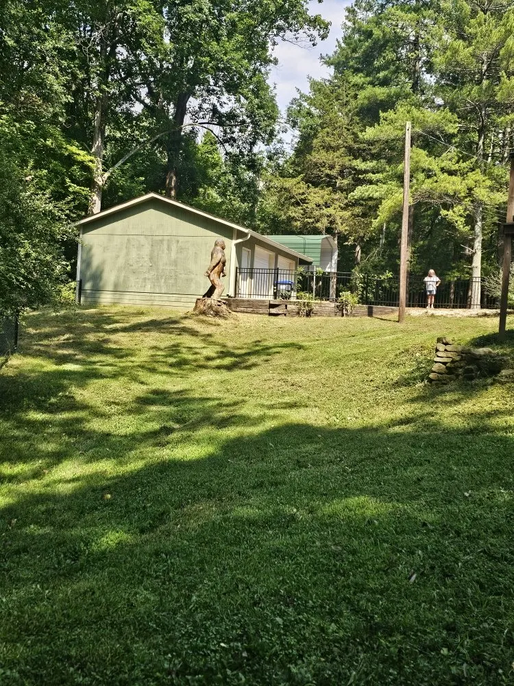 Local yard cleanup service in Bloomington, IN - Type-A Lawncare