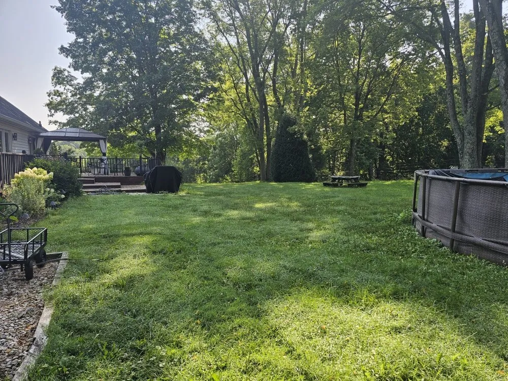 Local lawn mowing service for year-round maintenance across Bloomington, IN - Type-A Lawncare