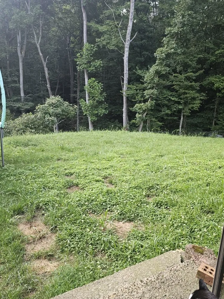 Expert garden landscaping experts serving Bloomington, IN - Type-A Lawncare