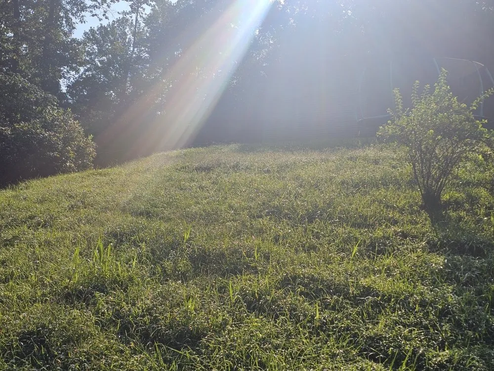 Reliable landscape design with custom design in Bloomington, IN by Type-A Lawncare