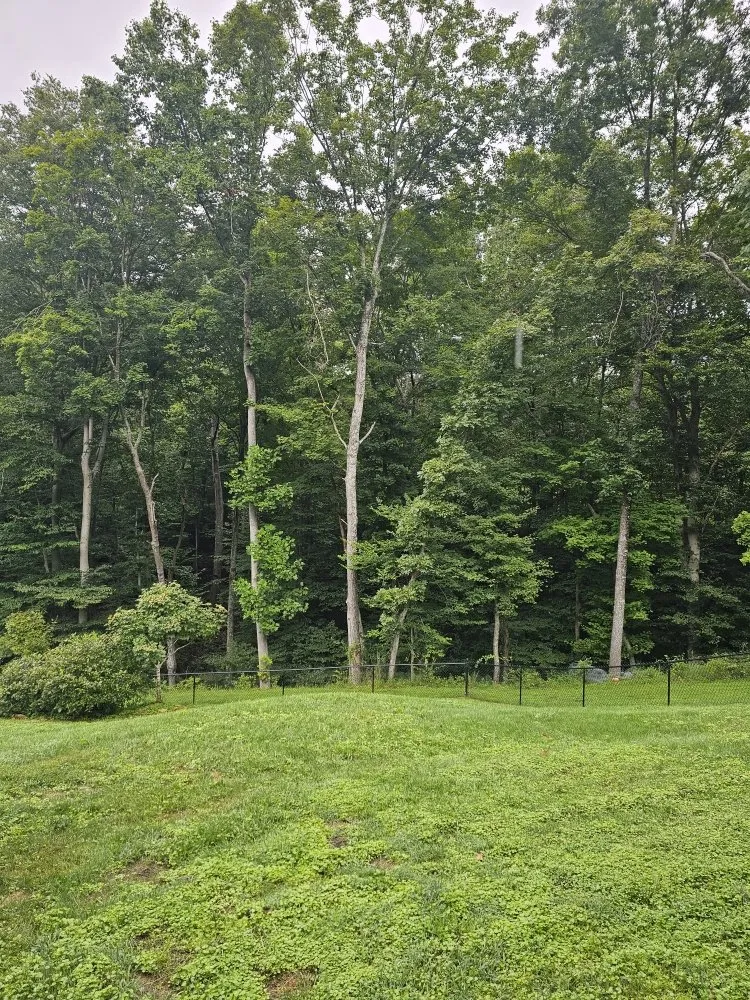 Top-rated landscape installation in Bloomington, IN - Type-A Lawncare