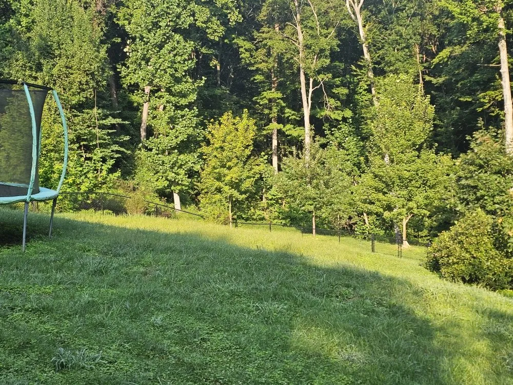 Trusted landscape design for homes in Bloomington, IN by Type-A Lawncare