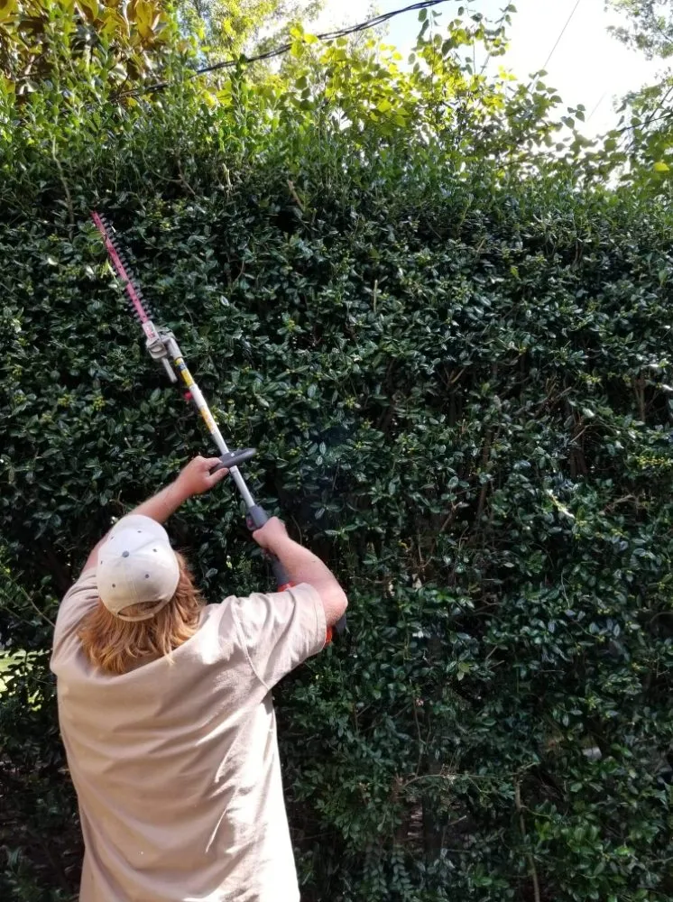 Expert residential landscaping near you in Williamsburg, VA by Tyree Home Services