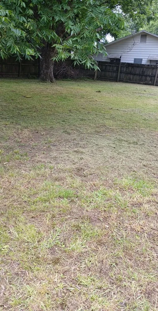 Reliable lawn mowing service in Oppelo, AR by Tyrone Mowers