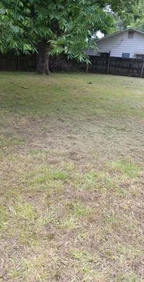 Tyrone Mowers