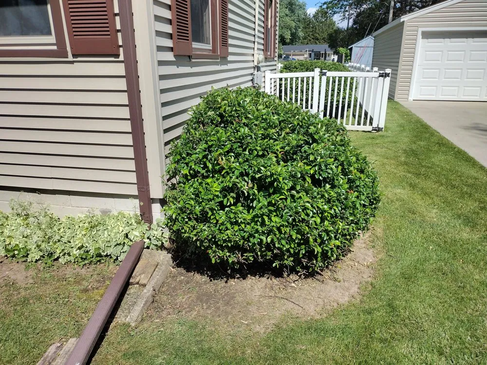 Expert yard cleanup service for residential properties in Janesville, WI by Ty's Landscaping
