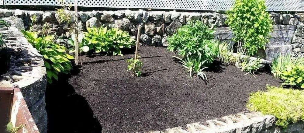 Top-rated garden landscaping near you across Melbourne, FL - Ty's Landscaping