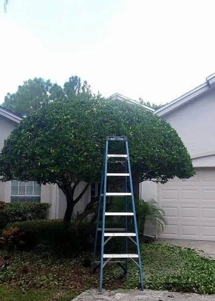 Custom yard maintenance in Melbourne, FL - Ty's Landscaping