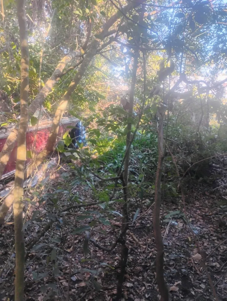 Reliable residential landscaping in Melbourne, FL - Ty's Landscaping