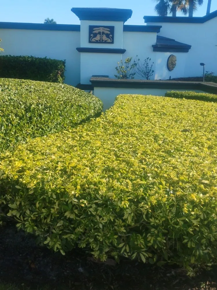 Trusted landscape installation near you across Melbourne, FL - Ty's Landscaping