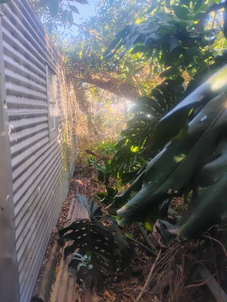 Expert landscape design in Melbourne, FL by Ty's Landscaping