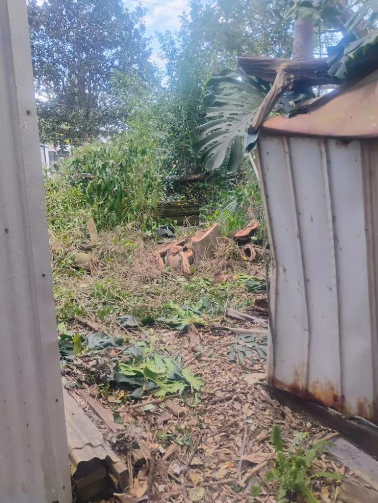 Expert yard cleanup service with custom design across Melbourne, FL - Ty's Landscaping