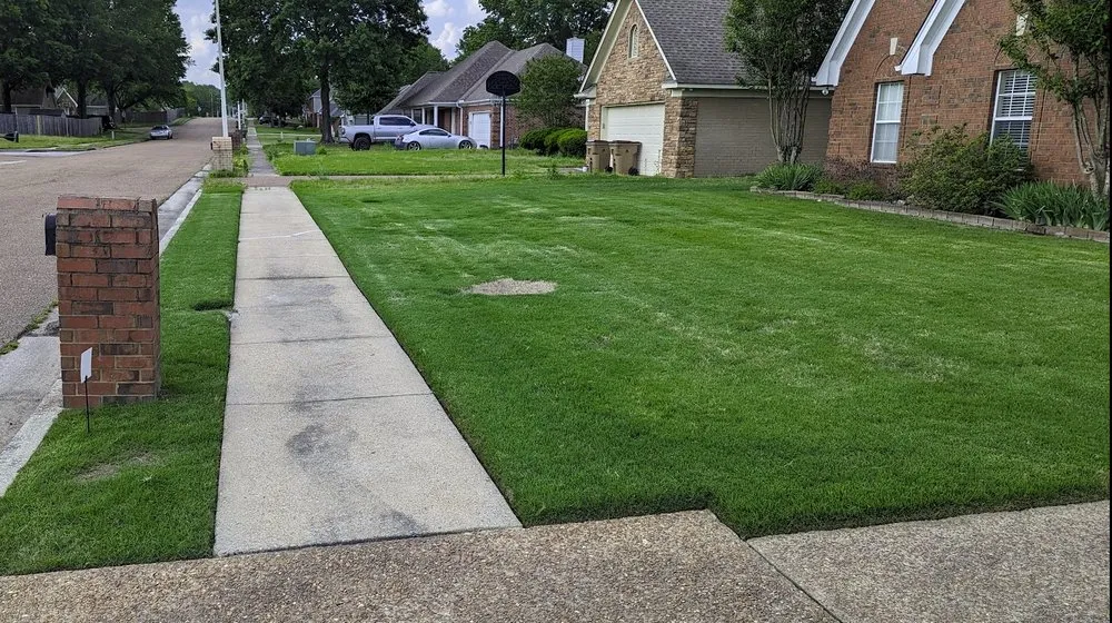 Reliable landscaping services in Cordova, TN - Ty's Lawn Care